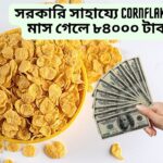 সরকারি সাহায্যে শুরু করুন কর্নফ্লেকসের ব্যবসা (Cornflakes Business)